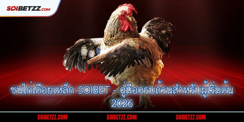 ชนไก่เดือยเหล็ก Soibet - คู่มือครบถ้วนสำหรับผู้เริ่มต้น 2026