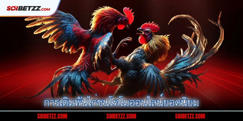การเดิมพันไก่ชนโทโมออนไลน์ยอดนิยม