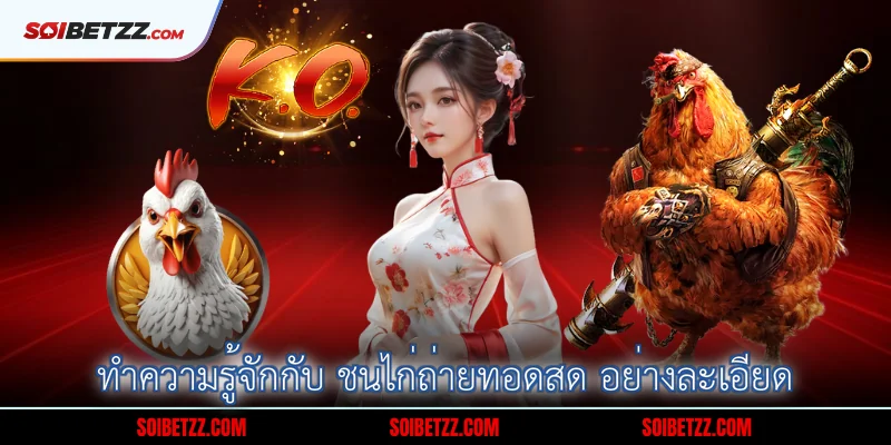 ทำความรู้จักกับ ชนไก่ถ่ายทอดสด อย่างละเอียด