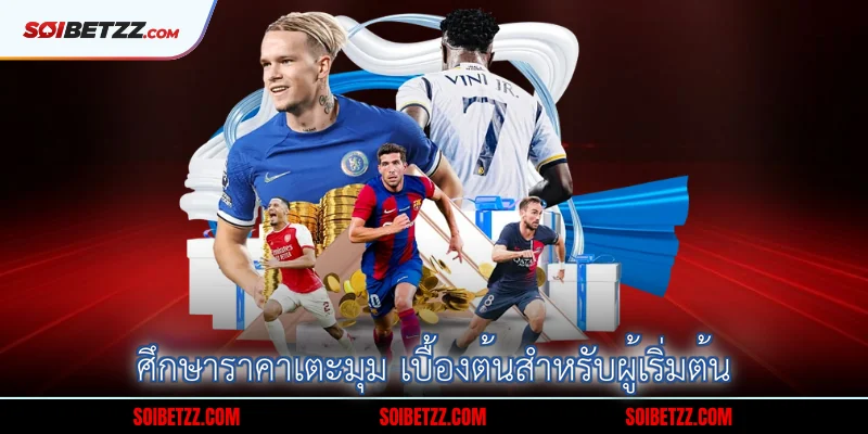 ศึกษาราคาเตะมุม เบื้องต้นสำหรับผู้เริ่มต้น