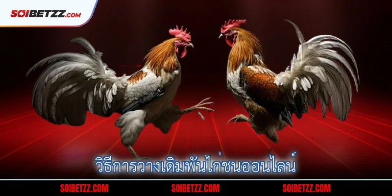 วิธีการวางเดิมพันไก่ชนออนไลน์