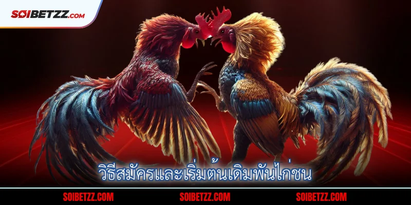 วิธีสมัครและเริ่มต้นเดิมพันไก่ชน