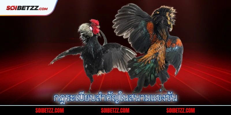 กฎระเบียบสำคัญในสนามแข่งขัน