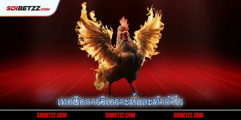 เทคนิคการวิเคราะห์และทำกำไร